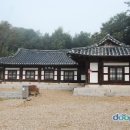 碑-跡 Daum카페