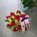 안동성소병원 산후조리원 이미지