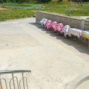 파도소리민박펜션 이미지