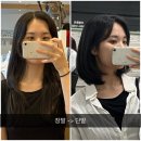 태평양미용실 - 성동구 | 단발 잘하는 미용실 차홍룸 방배점 : 장발 -> 단발후기, 가격, 커트, 오주연 디자이너