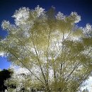 바람과 구름 이미지