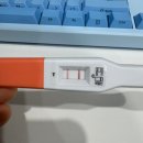 임신 5주차 : 임테기, 몸살, 아기집확인, 임신확인서, 임밍아웃