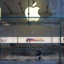 애플apple 이미지
