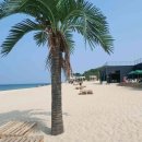 선지정food 이미지