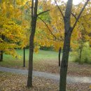 오크랜드 이미지