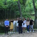 죽관메원 이미지