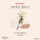 자취생의 망한 홈베이킹(망한 키티마들렌, 컬리 추천템, 우베아이스박스 후기)