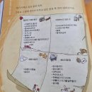 천재적인 책벌레가 되는 짬짬이 독서