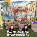 청도 아이와 가볼만한 곳 팜하리 체험농장 물놀이카페 후기