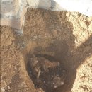 곰바우농장 이미지