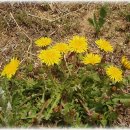 논두렁밭두렁 이미지