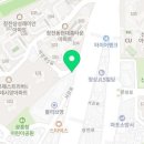 부산고양이분양 그린캣 이미지