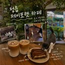 🍃 정읍 가볼만한곳 찾다가 발견한 힐링 스팟 🐈 정읍 카페 제이포렛 후기 💚
