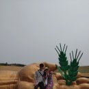 보리수하 이미지