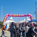 서진낚시 | 샤브샤브 쭈꾸미볶음 가격 제철 쭈꾸미 포장 제24회 서천동백꽃주꾸미축제 후기 일정 먹거리 볼거리 꿀팁