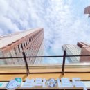 루원시티독 이미지