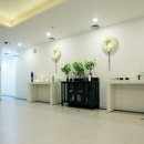 메종드비 이미지