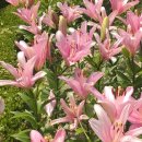 무주좋은인연펜션 이미지