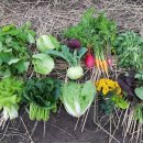 남부촌 | [모집완료] 공동체 대만 여행