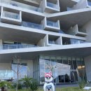 스테이펫_호텔 이미지