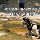 옥이네애견 | [충남 서산] 서산 용현계곡 애견동반 맛집 서울가든 방문 후기｜봉봉이, 옥이와 함께한 백숙 맛집🐶