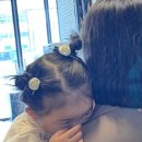 사랑 DOG 차지 이미지