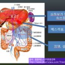 반하사심탕 이미지