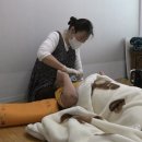 민수카센타