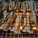 봉무공원야영장 이미지