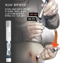 그냥 심심해서요. (24200) 1대에 45만원 비만주사 이미지