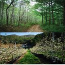 이화만리마을 이미지