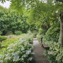 고흥-10호 이미지