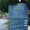 더진 샤브샤브엔 샐러드바 이미지