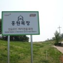 홍원목장 이미지