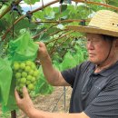 김종필농장 이미지