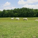 즉연농장 이미지