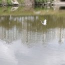 두루미노래연습장 이미지