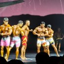 마이 복싱 짐 이미지