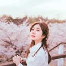 마지끄 - 동구 대송7길 20 | 마지끄