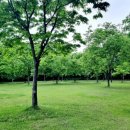 사천여자고등학교 네이버블로그