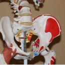 성신수기원 이미지