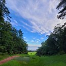 일레븐CC 이미지