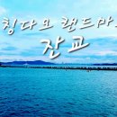 창립7주년특별산행 중국청도 대주산진달래꽃산행 이미지