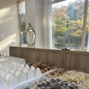 호키쿠키 이미지