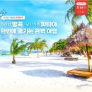 파타야 티스토리