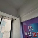 포텐코인싱어 이미지