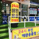 도그마캣군포