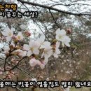월인천강나비황차원 이미지