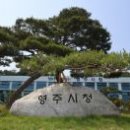 영남혼수