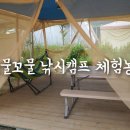 청주 캠핑 캠크닉 꼬물꼬물 낚시캠프 체험농장